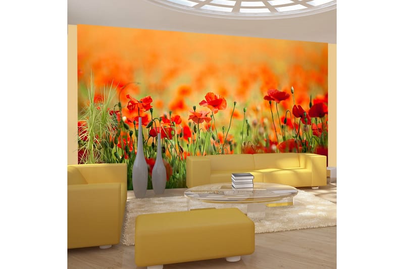 Fototapet Vallmo Skinande Sommardag 450x270 - Artgeist sp. z o. o. - Inredning - Väggdekor - Tapet & tapettillbehör - Fototapet