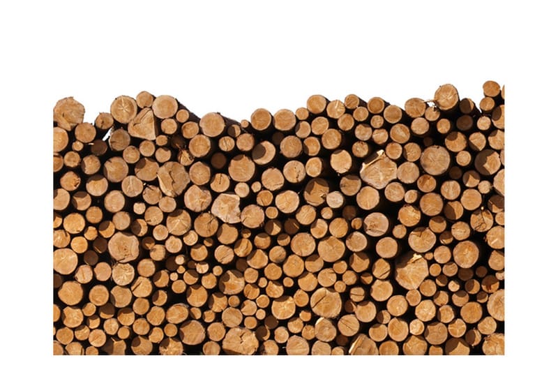 Fototapet Vedtrave 200x154, Artgeist sp. z o. o.