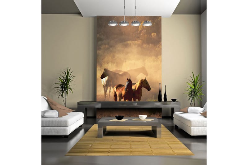 Fototapet Vilda Hästar Stäppen 250x193, Artgeist sp. z o. o.
