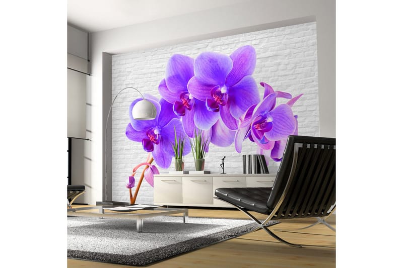 Fototapet Violet Excitation 350x245, Artgeist sp. z o. o.
