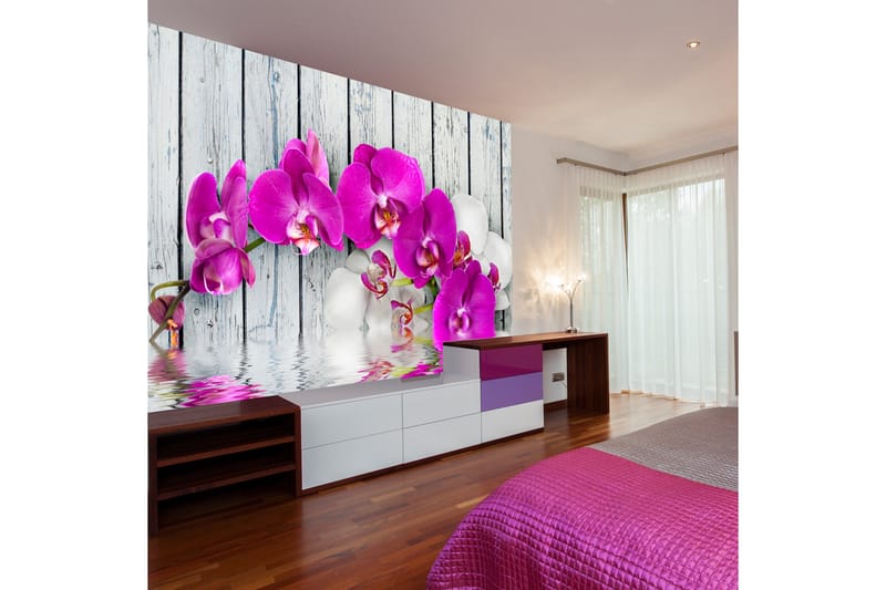 Fototapet Violet Orchids With Water Reflexion 200x154 - Artgeist sp. z o. o. - Inredning - Väggdekor - Tapet & tapettillbehör - Fototapet