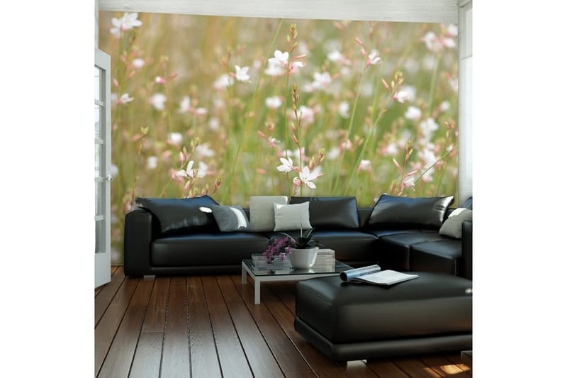 Fototapet Vita Känsliga Blommor 200x154, Artgeist sp. z o. o.
