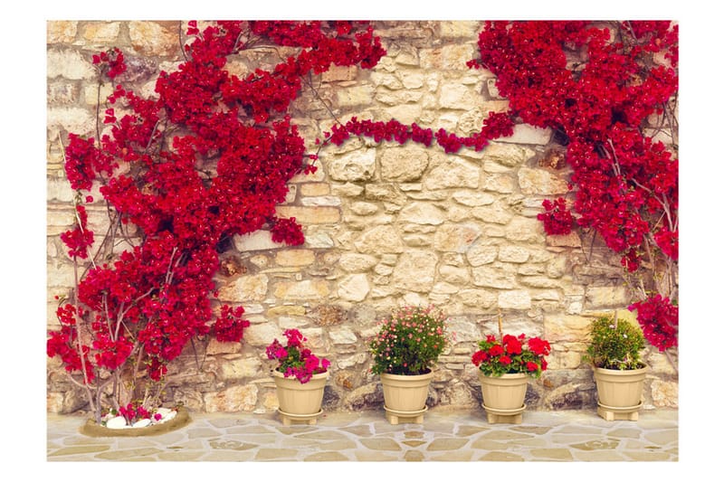 Fototapet Warm Afternoon 400x280 - Artgeist sp. z o. o. - Inredning - Väggdekor - Tapet & tapettillbehör - Fototapet