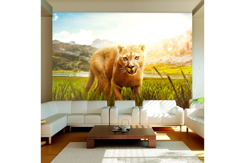Fototapet Watch Out! 300x210 - Artgeist sp. z o. o. - Inredning - Väggdekor - Tapet & tapettillbehör - Fototapet