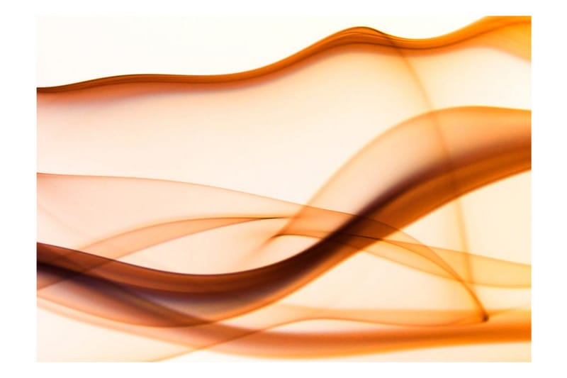 Fototapet Waving Trails 300x231 - Artgeist sp. z o. o. - Inredning - Väggdekor - Tapet & tapettillbehör - Fototapet