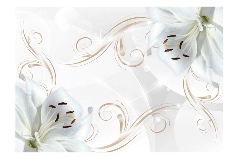 Fototapet White Dancers 250x175 - Artgeist sp. z o. o. - Inredning - Väggdekor - Tapet & tapettillbehör - Fototapet