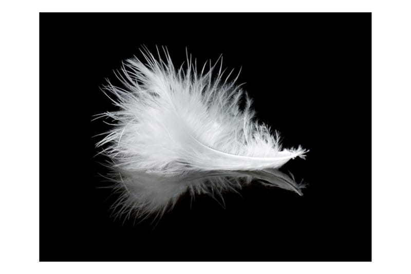 Fototapet White Feather 250x193 - Artgeist sp. z o. o. - Inredning - Väggdekor - Tapet & tapettillbehör - Fototapet
