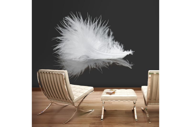 Fototapet White Feather 250x193 - Artgeist sp. z o. o. - Inredning - Väggdekor - Tapet & tapettillbehör - Fototapet