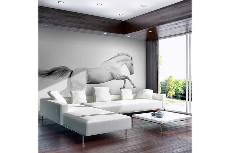 Fototapet White Gallop 300x231, Artgeist sp. z o. o.