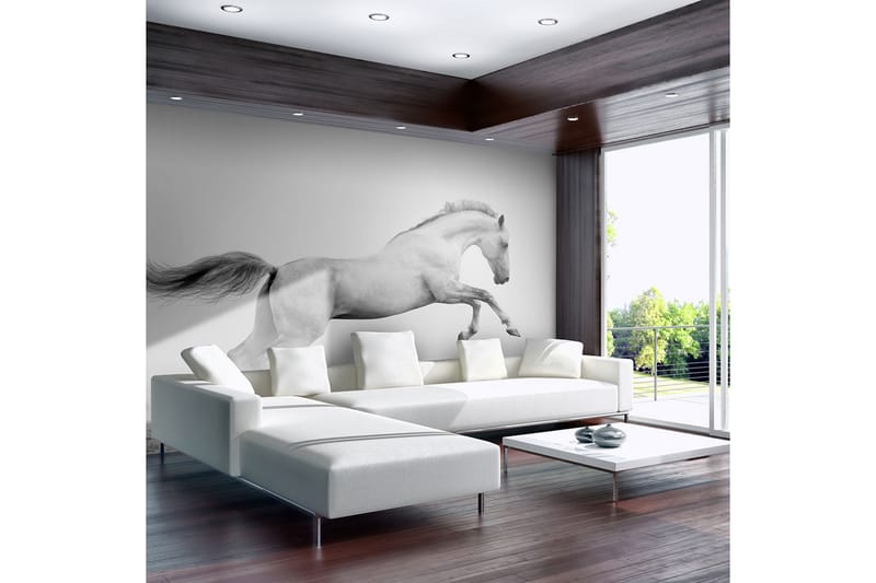 Fototapet White Gallop 350x270 - Artgeist sp. z o. o. - Inredning - Väggdekor - Tapet & tapettillbehör - Fototapet