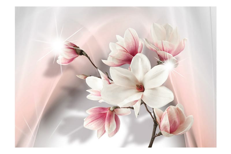 Fototapet White Magnolias 100x70 - Artgeist sp. z o. o. - Inredning - Väggdekor - Tapet & tapettillbehör - Fototapet