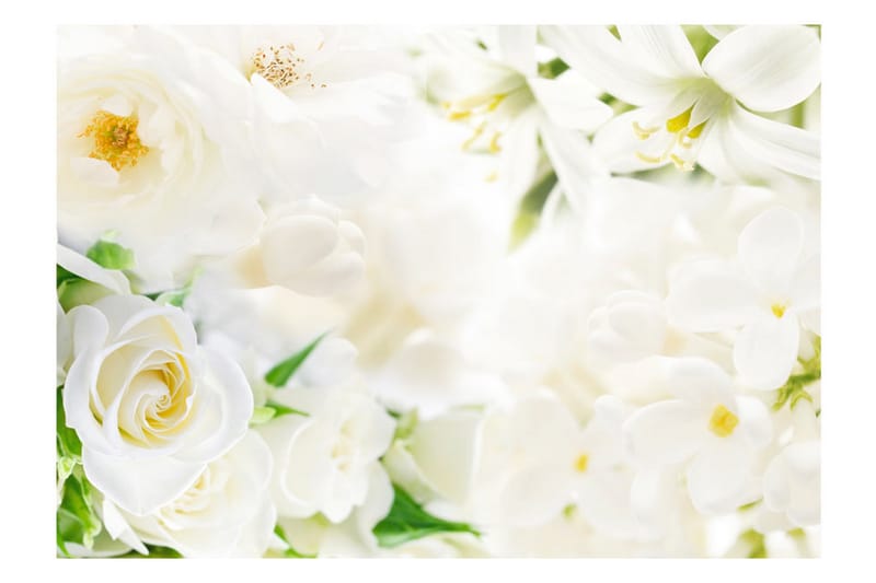 Fototapet White Sigh 300x210 - Artgeist sp. z o. o. - Inredning - Väggdekor - Tapet & tapettillbehör - Fototapet