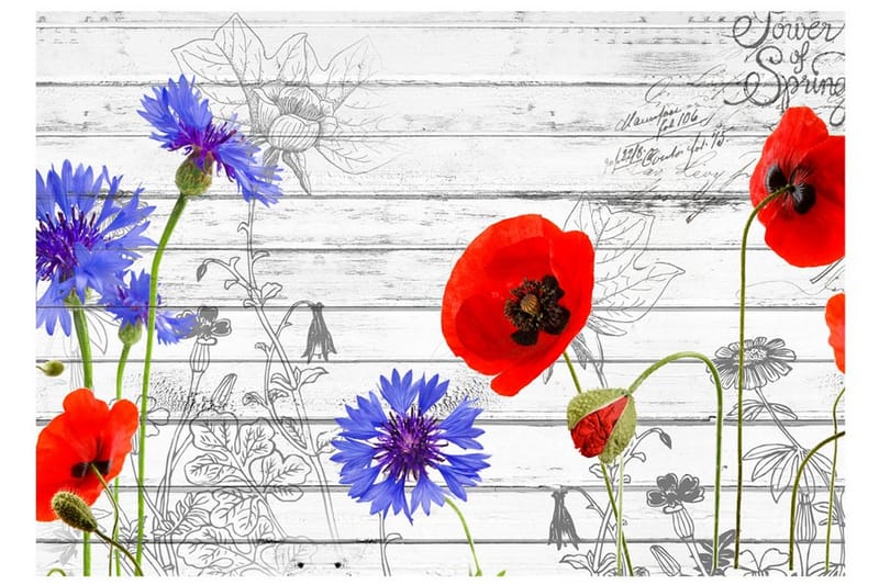 Fototapet Wildflowers 250x175 - Artgeist sp. z o. o. - Inredning - Väggdekor - Tapet & tapettillbehör - Fototapet