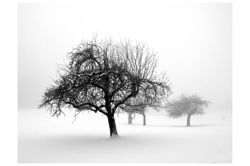 Fototapet Winter Trees 400x309, Artgeist sp. z o. o.