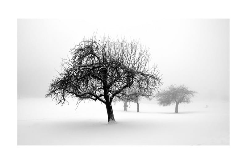 Fototapet Winter Trees 450x270 - Artgeist sp. z o. o. - Inredning - Väggdekor - Tapet & tapettillbehör - Fototapet