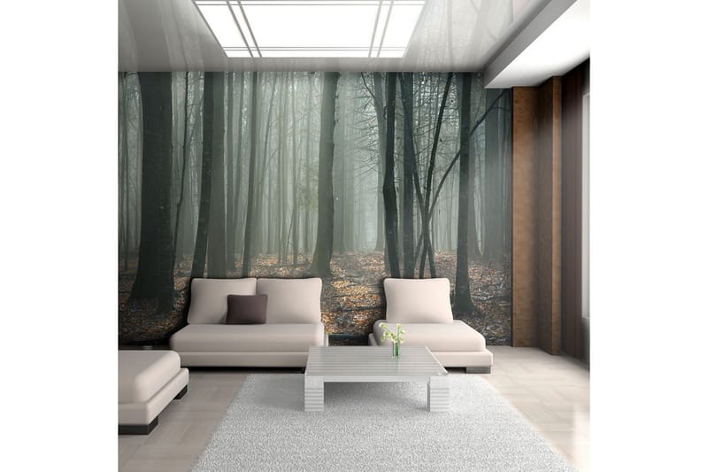 Fototapet Witches' Forest 350x270 - Artgeist sp. z o. o. - Inredning - Väggdekor - Tapet & tapettillbehör - Fototapet