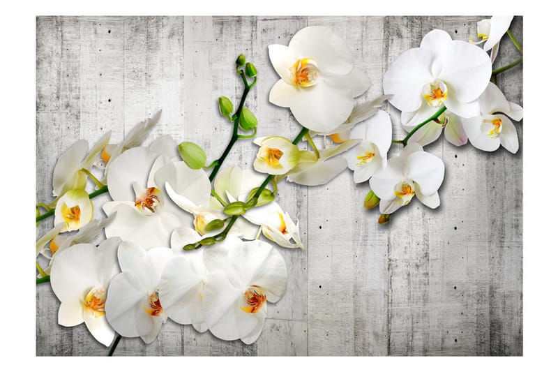 Fototapet With Saffron Accent 100x70 - Artgeist sp. z o. o. - Inredning - Väggdekor - Tapet & tapettillbehör - Fototapet