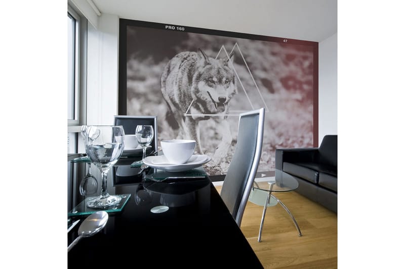 Fototapet Wolf Photo 200x154, Artgeist sp. z o. o.