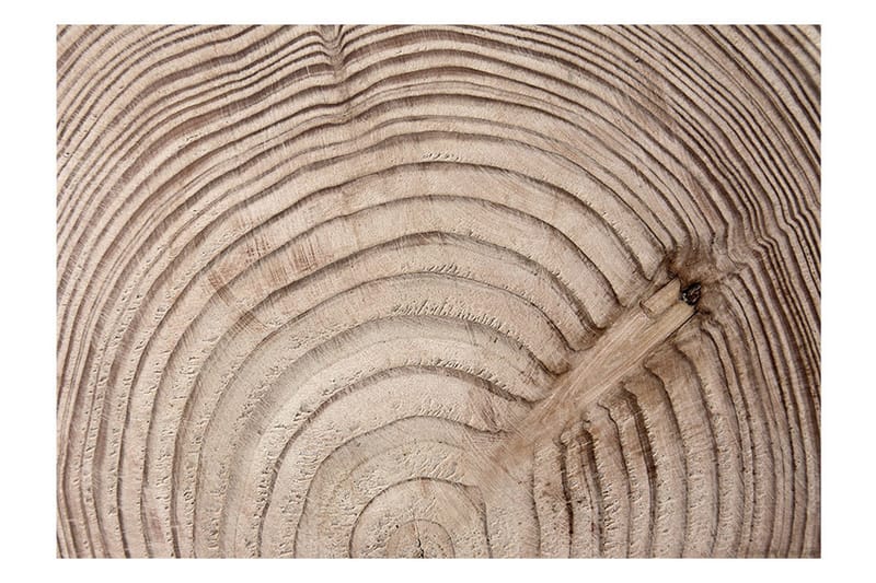 Fototapet Wood Grain 250x175 - Artgeist sp. z o. o. - Inredning - Väggdekor - Tapet & tapettillbehör - Fototapet