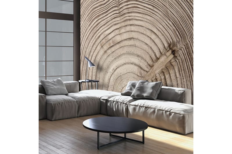 Fototapet Wood Grain 250x175, Artgeist sp. z o. o.