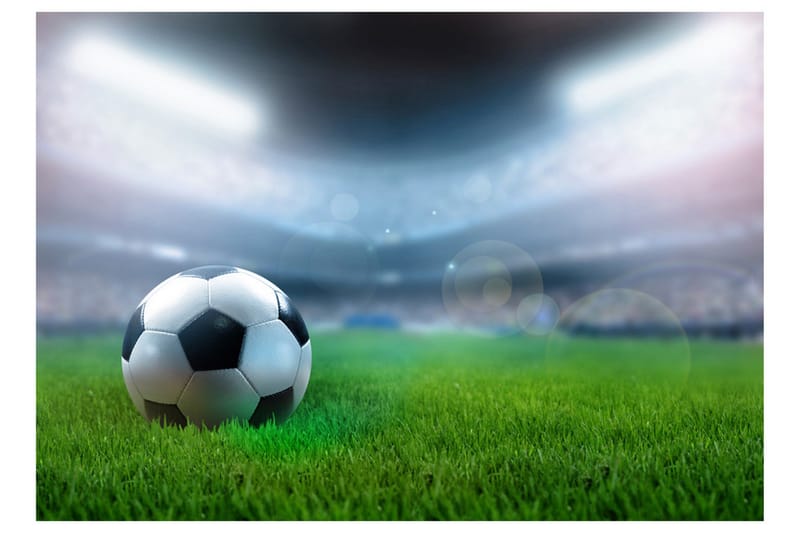 Fototapet World Championship 250x175 - Artgeist sp. z o. o. - Inredning - Väggdekor - Tapet & tapettillbehör - Fototapet