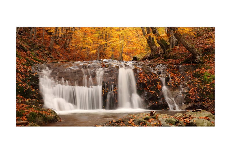 Fototapet XXL Autumn Landscape Waterfall In Forest 550x270 - Artgeist sp. z o. o. - Fototapet