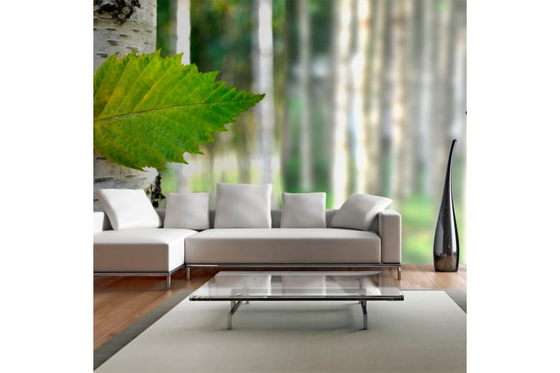 Fototapet XXL Björklöv 550x270 - Artgeist sp. z o. o. - Inredning - Väggdekor - Tapet & tapettillbehör - Fototapet