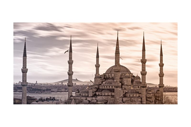 Fototapet XXL Blå Moskén Istanbul 550x270 - Artgeist sp. z o. o. - Inredning - V äggdekor - Tapet & tapettillbehör - Fototapet