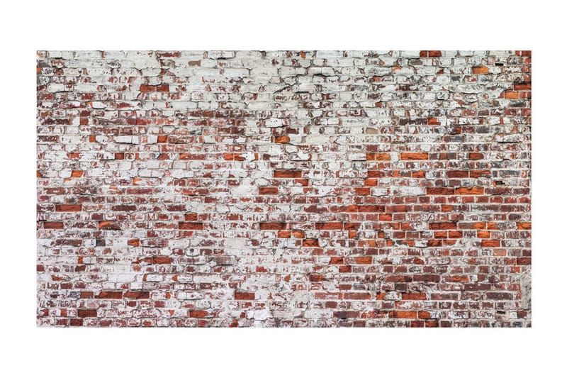 Fototapet XXL Echo Of Time 500x280 - Artgeist sp. z o. o. - Inredning - Väggdekor - Tapet & tapettillbehör - Fototapet