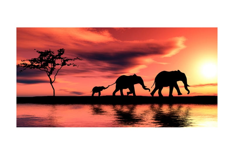 Fototapet XXL Elephants Family 550x270 - Artgeist sp. z o. o. - Inredning - Väggdekor - Tapet & tapettillbehör - Fototapet