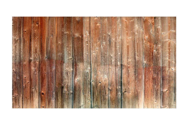 Fototapet XXL Forest Cottage II 500x280 - Artgeist sp. z o. o. - Inredning - Väggdekor - Tapet & tapettillbehör - Fototapet