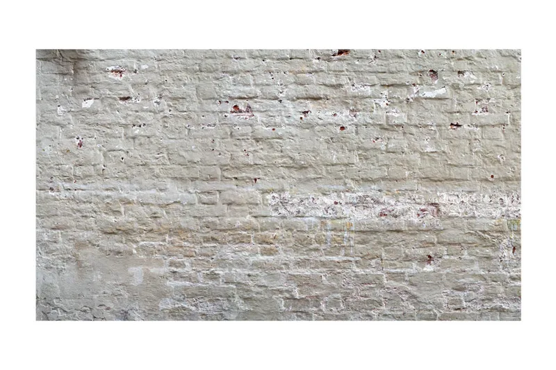 Fototapet XXL Hidden Harmony II 600x280 - Artgeist sp. z o. o. - Inredning - Väggdekor - Tapet & tapettillbehör - Fototapet