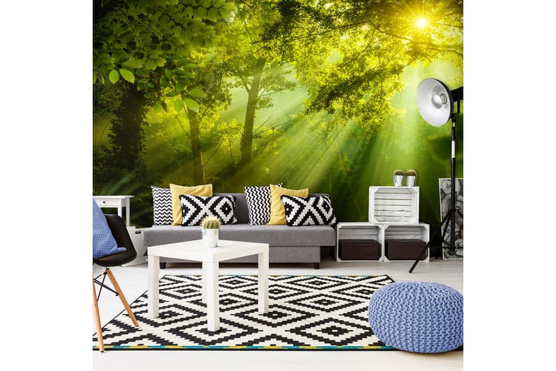 Fototapet XXL In A Secret Forest II 500x280 - Artgeist sp. z o. o. - Inredning - Väggdekor - Tapet & tapettillbehör - Fototapet