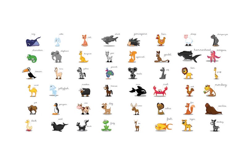 Fototapet XXL Learning By Playing Animals 550x270 - Artgeist sp. z o. o. - Inredning - Väggdekor - Tapet & tapettillbehör - Fototapet