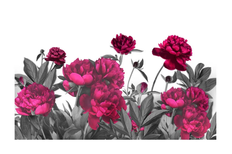 Fototapet XXL Lush Meadow 500x280 - Artgeist sp. z o. o. - Inredning - Väggdekor - Tapet & tapettillbehör - Fototapet