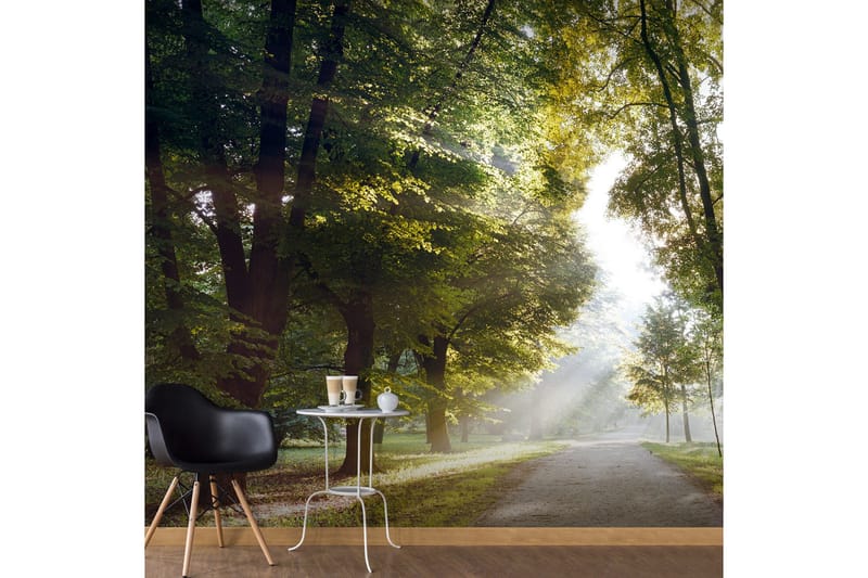 Fototapet XXL Morning Walk II 600x280 - Artgeist sp. z o. o. - Inredning - Väggdekor - Tapet & tapettillbehör - Fototapet