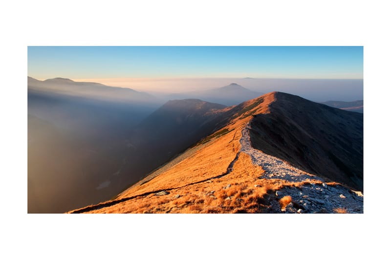 Fototapet XXL Mountain Path Tatry 550x270 - Artgeist sp. z o. o. - Inredning - Väggdekor - Tapet & tapettillbehör - Fototapet