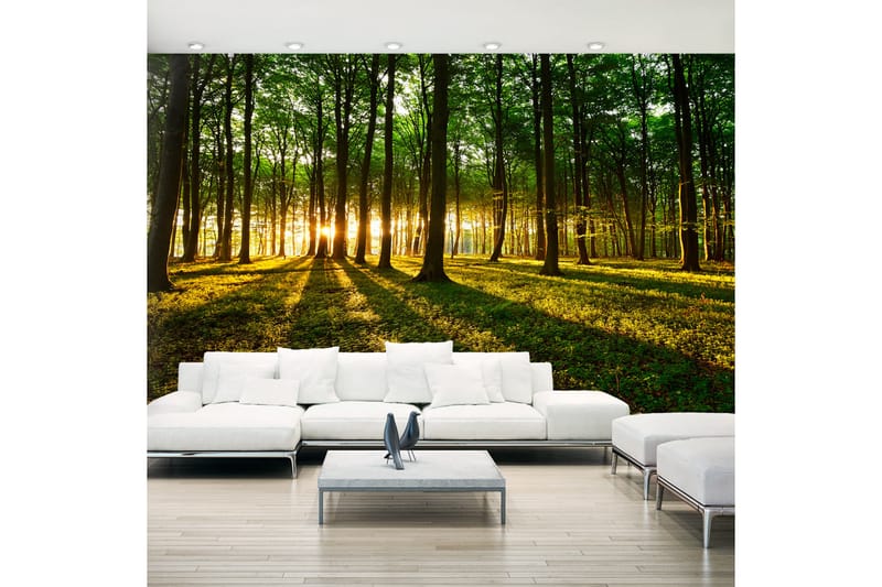 Fototapet XXL Mystical Morning II 500x280 - Artgeist sp. z o. o. - Inredning - Väggdekor - Tapet & tapettillbehör - Fototapet
