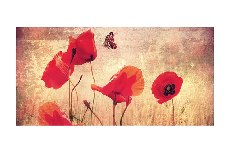 Fototapet XXL Summer Is Coming 550x270 - Artgeist sp. z o. o. - Inredning - Väggdekor - Tapet & tapettillbehör - Fototapet