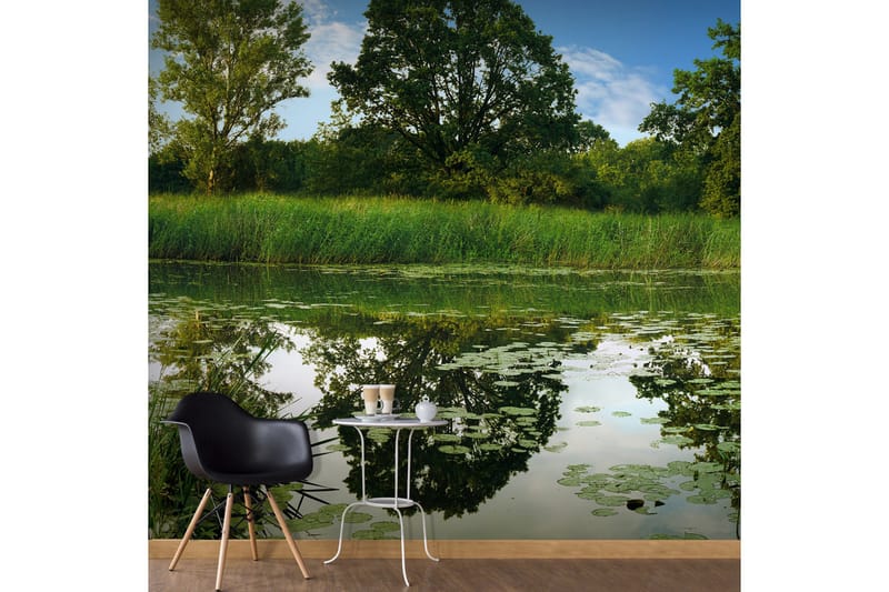 Fototapet XXL The Magic Pond II 600x280 - Artgeist sp. z o. o. - Inredning - Väggdekor - Tapet & tapettillbehör - Fototapet