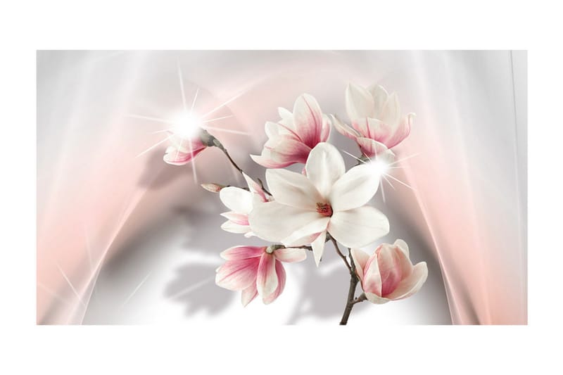 Fototapet XXL White Magnolias II 500x280 - Artgeist sp. z o. o. - Inredning - Väggdekor - Tapet & tapettillbehör - Fototapet