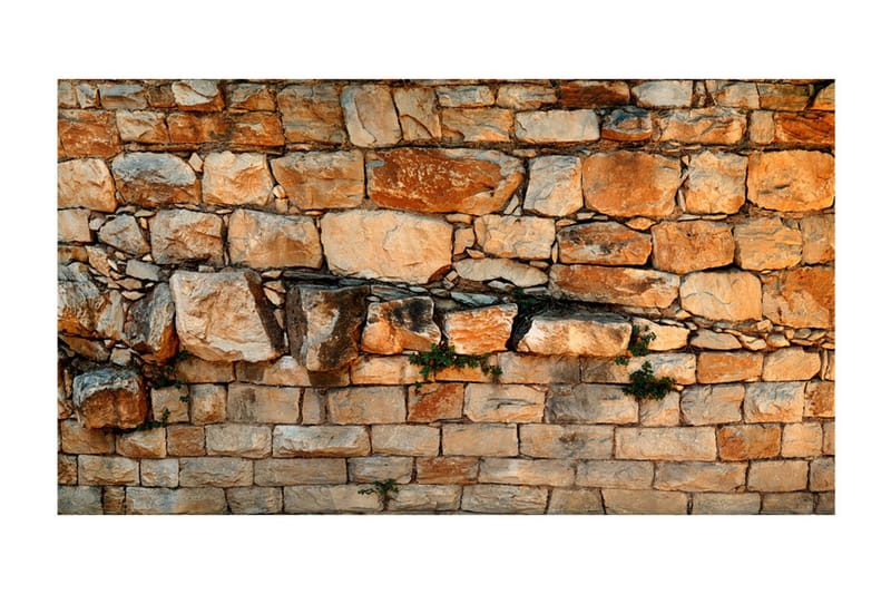 Fototapet XXL Prelude Of The Day II 500x280 - Artgeist sp. z o. o. - Inredning - Väggdekor - Tapet & tapettillbehör - Fototapet