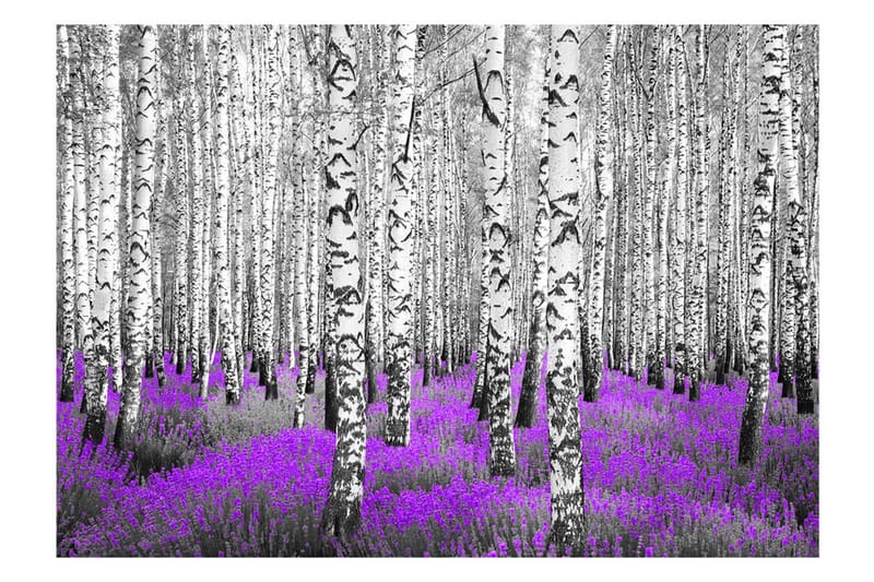 Fototapet Purple Asylum 300x210 - Artgeist sp. z o. o. - Inredning - Väggdekor - Tapet & tapettillbehör - Fototapet