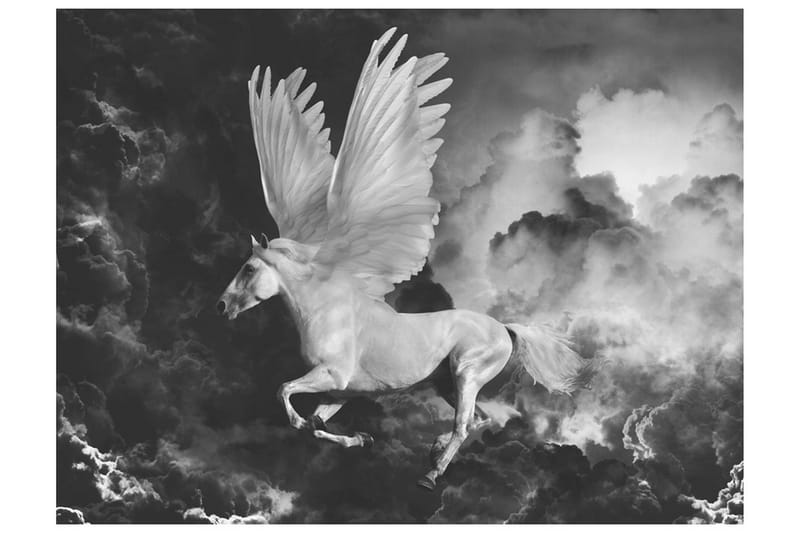 Fototapet Pegasus På Väg Till Mount Olympus 250x193 - Artgeist sp. z o. o. - Inredning - Väggdekor - Tapet & tapettillbehör - Fototapet