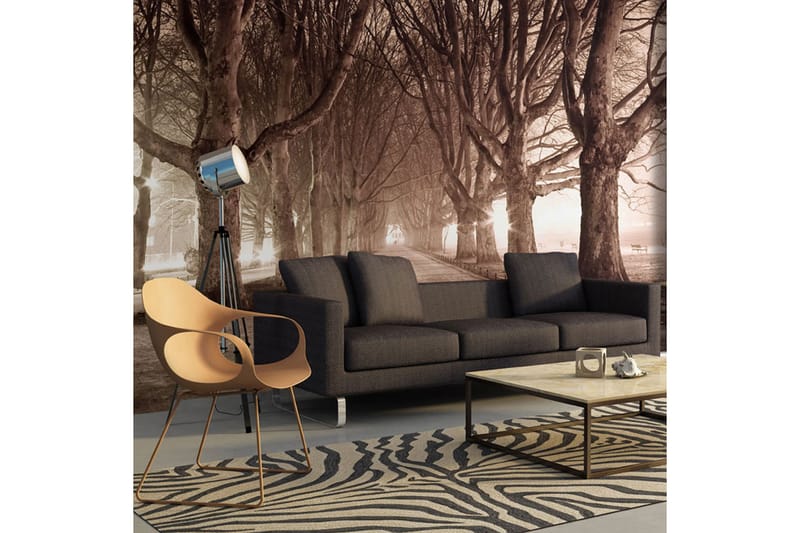 Fototapet Park Gränd 200x154 - Artgeist sp. z o. o. - Inredning - Väggdekor - Tapet & tapettillbehör - Fototapet