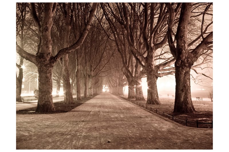 Fototapet Park Gränd 300x231, Artgeist sp. z o. o.