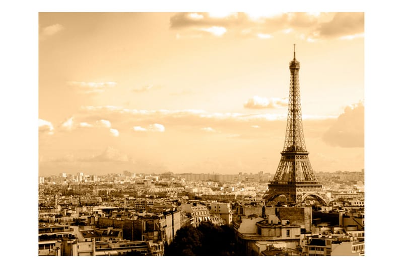 Fototapet Paris Panorama 350x270 - Artgeist sp. z o. o. - Inredning - Väggdekor - Tapet & tapettillbehör - Fototapet