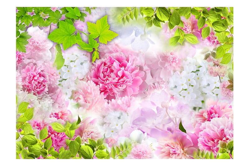 Fototapet Peonies 350x245 - Artgeist sp. z o. o. - Inredning - Väggdekor - Tapet & tapettillbehör - Fototapet