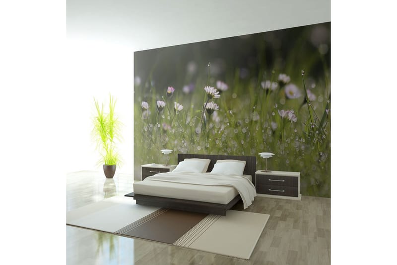 Fototapet Prästkragar Med Morgondagg 300x231, Artgeist sp. z o. o.