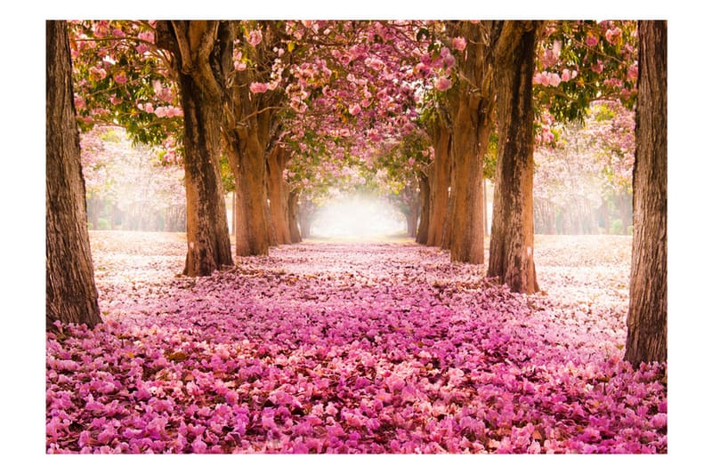 Fototapet Pink Grove 250x175 - Artgeist sp. z o. o. - Inredning - Väggdekor - Tapet & tapettillbehör - Fototapet
